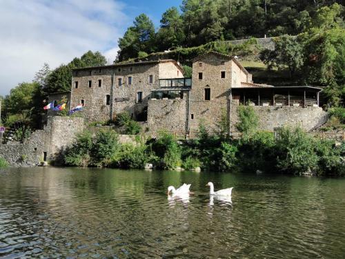 Bâtiment avec avec oies